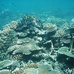 UNESCO World Heritage Sites Great Barrier Reef-sHEET3