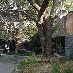 Center for Environmental Education, Ahmedabad-Sheet7