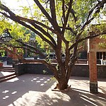 Center for Environmental Education, Ahmedabad-Sheet9