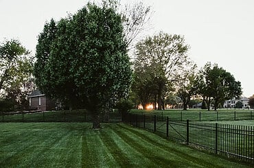 Transform Your Lawn with Professional Lawn Mowing Services