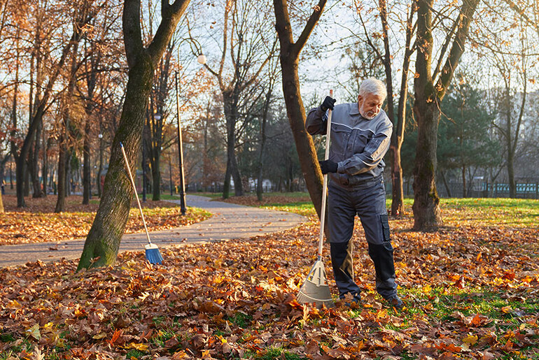 Preparing City Landscaping for the Fall Season