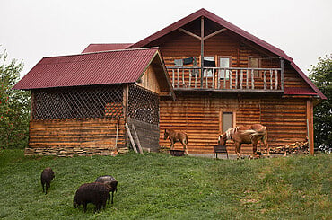 10 Interesting Design Ideas for Barns