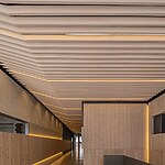 Qo by Archetonic-Sheet19