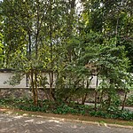 Casa El Pinar by Archdifusion-Sheet1