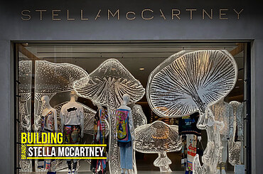 Building Brands: Stella McCartney