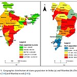 The Informal City Examining Unplanned Settlements and Their Role in Urban Life-Sheet2