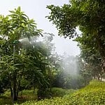 Kanha Shanti Vanam, Telangana-Sheet15