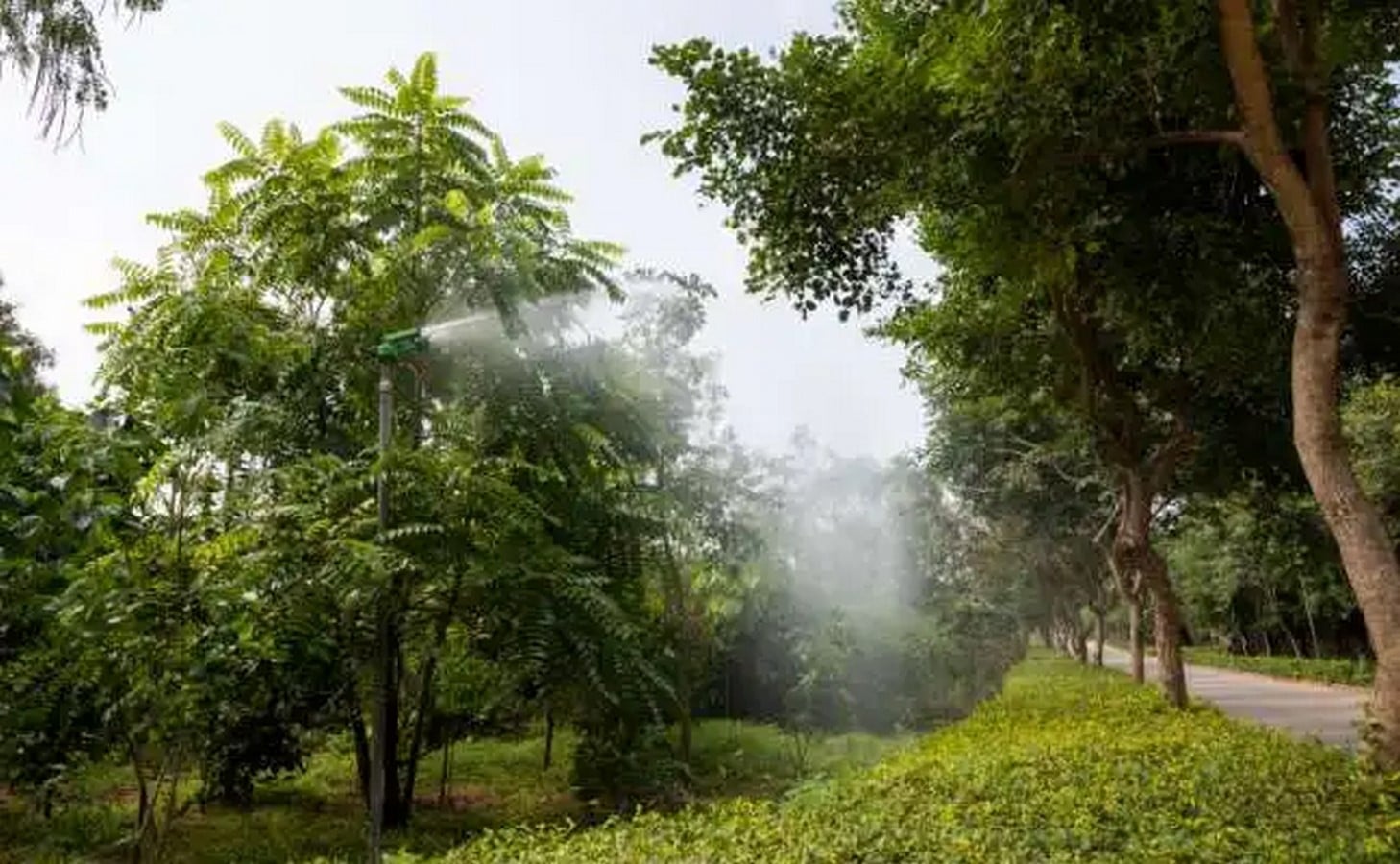 Kanha Shanti Vanam, Telangana-Sheet15