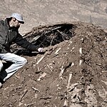 Exploring the Influence of Local Materials (after 2010)-Sheet3