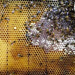 Exploring the Influence of Local Materials (after 2010)-Sheet4