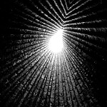 How Architecture Has Influenced Artistic Movements Through the Ages-Amanda Lopes Altelino-Sheet3