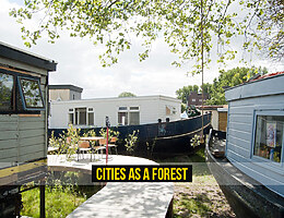Cities as a Forest