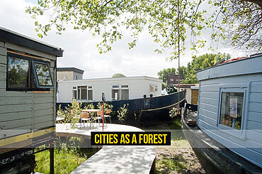 Cities as a Forest