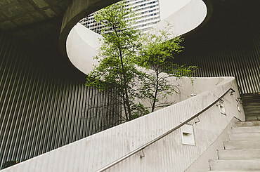 Green Building Practices: Creating Eco-Conscious Structures