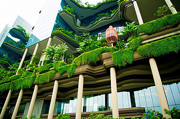 Are Sustainable Homes The Future Of Modern Architecture Or Just A Trend?