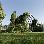 Stereo park landscape in Sochi-Sheet4