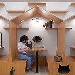 Meow Parlour by Sonya Lee Architect-Sheet1