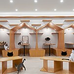 Meow Parlour by Sonya Lee Architect-Sheet2