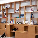 Meow Parlour by Sonya Lee Architect-Sheet3