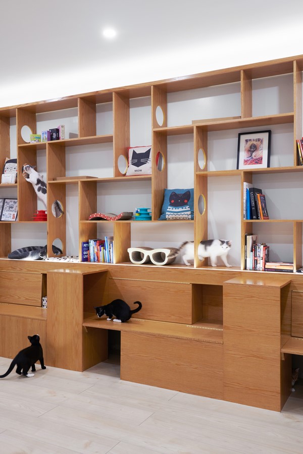 Meow Parlour by Sonya Lee Architect-Sheet3