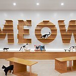 Meow Parlour by Sonya Lee Architect-Sheet4