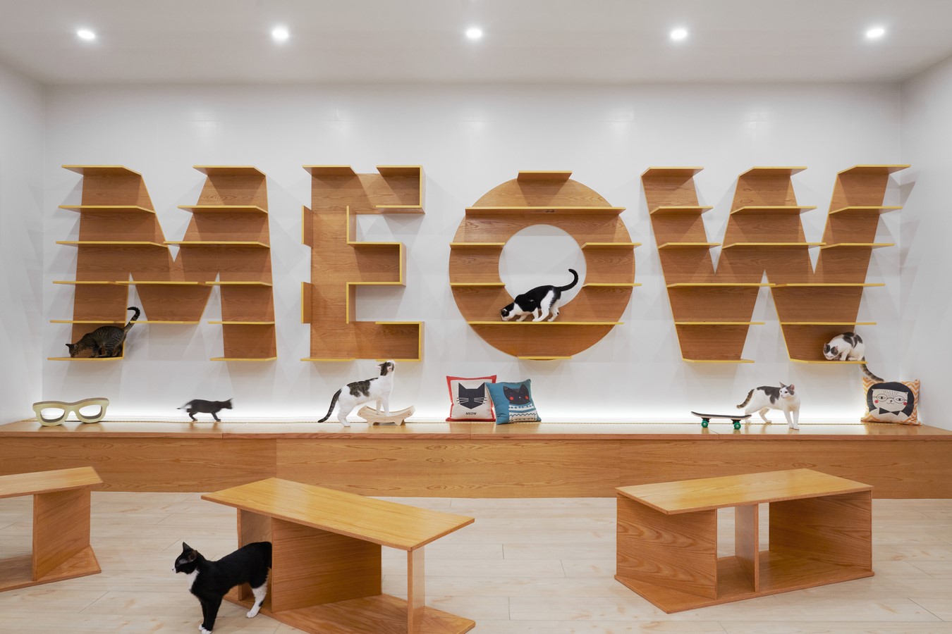Meow Parlour by Sonya Lee Architect-Sheet4