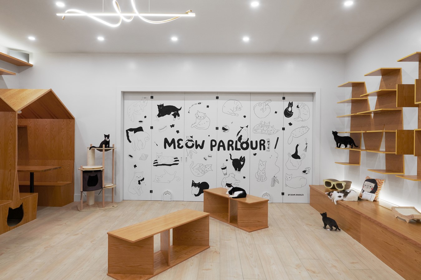 Meow Parlour by Sonya Lee Architect-Sheet5