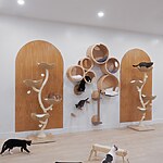 Meow Parlour by Sonya Lee Architect-Sheet6