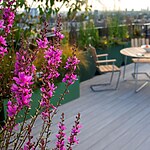 Hampstead Roof Garden 2024 by Mylandscapes LTD-Sheet3