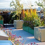 Hampstead Roof Garden 2024 by Mylandscapes LTD-Sheet4