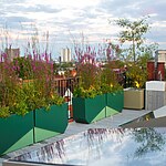 Hampstead Roof Garden 2024 by Mylandscapes LTD-Sheet6