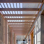 Canopy CLT House by Still Space Architecture-Sheet9