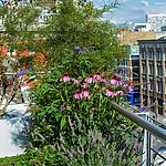 Clerkenwell Roof Garden by Mylandscapes LTD-Sheet4