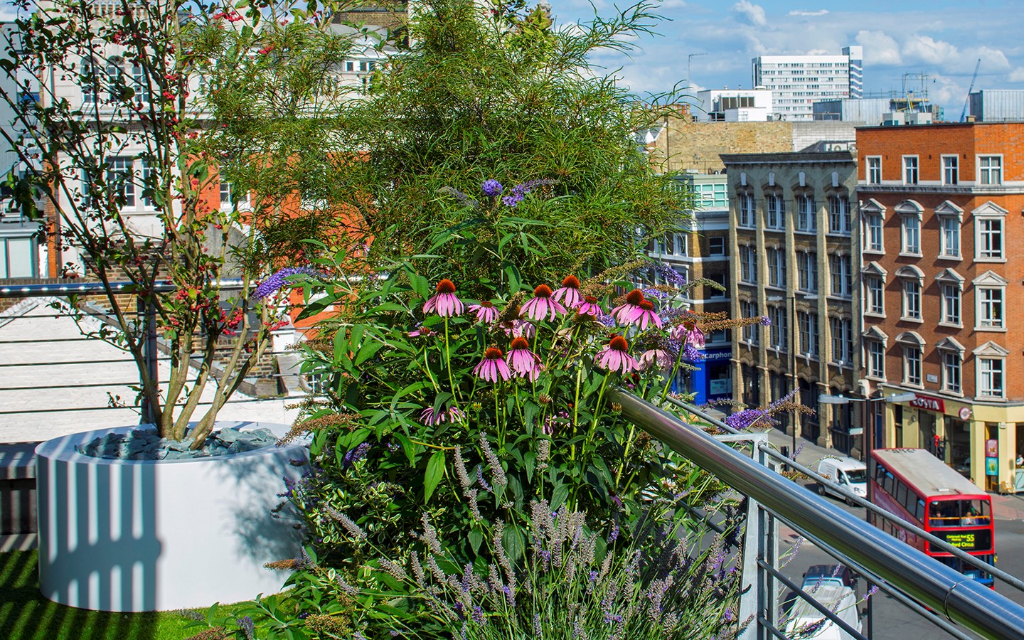 Clerkenwell Roof Garden by Mylandscapes LTD-Sheet4