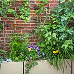 Clerkenwell Roof Garden by Mylandscapes LTD-Sheet6