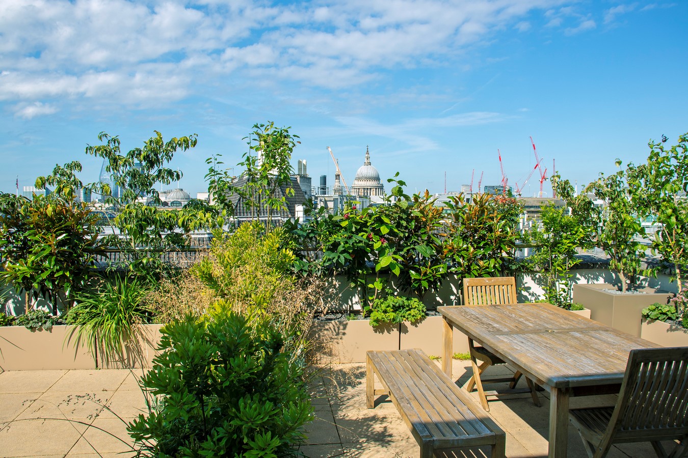 Bank Roof Garden Urban Biodiversity in the City by Mylandscapes LTD-Sheet1