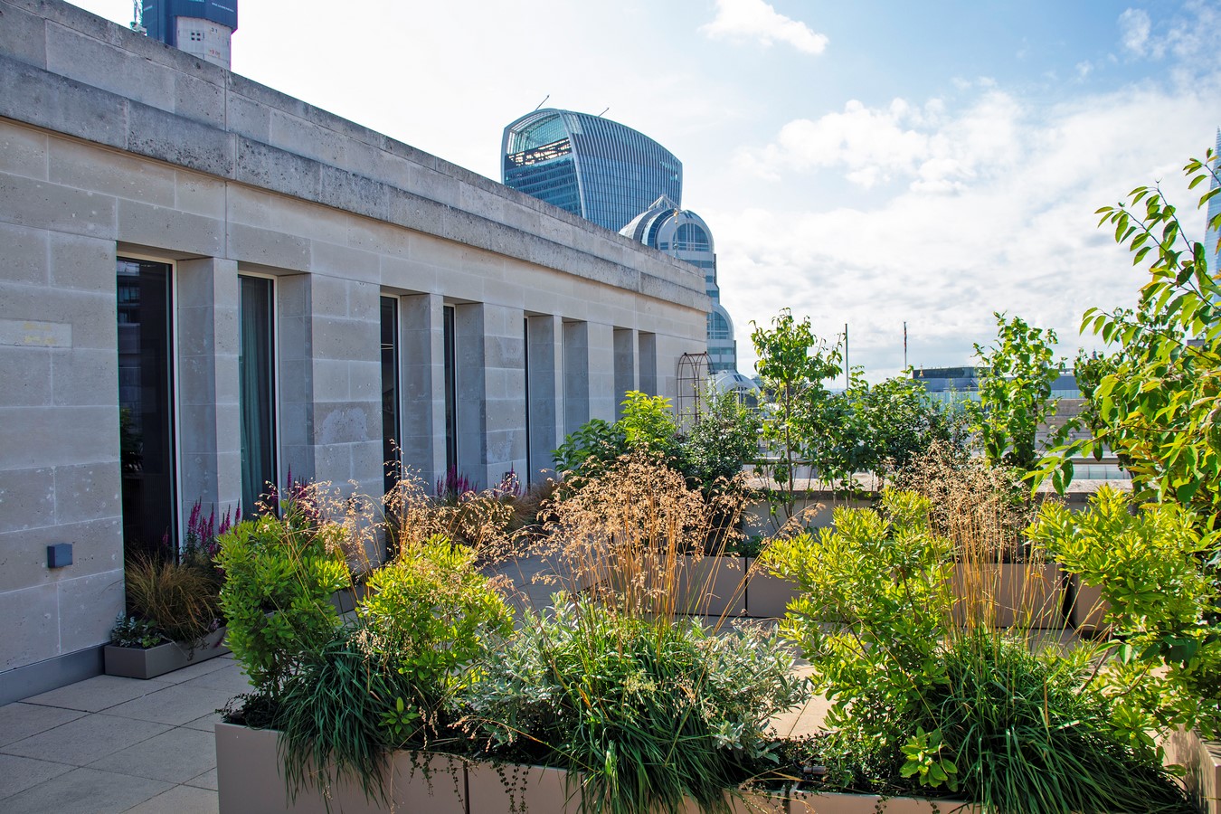 Bank Roof Garden Urban Biodiversity in the City by Mylandscapes LTD-Sheet3