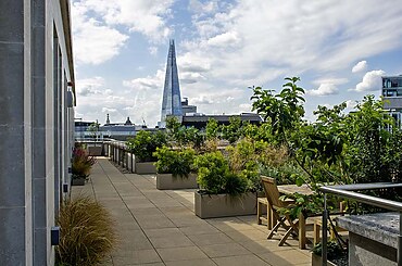 Bank Roof Garden Urban Biodiversity in the City by Mylandscapes LTD