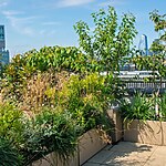 Bank Roof Garden Urban Biodiversity in the City by Mylandscapes LTD-Sheet4