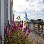 Bank Roof Garden Urban Biodiversity in the City by Mylandscapes LTD-Sheet5