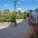 Bank Roof Garden Urban Biodiversity in the City by Mylandscapes LTD-Sheet6