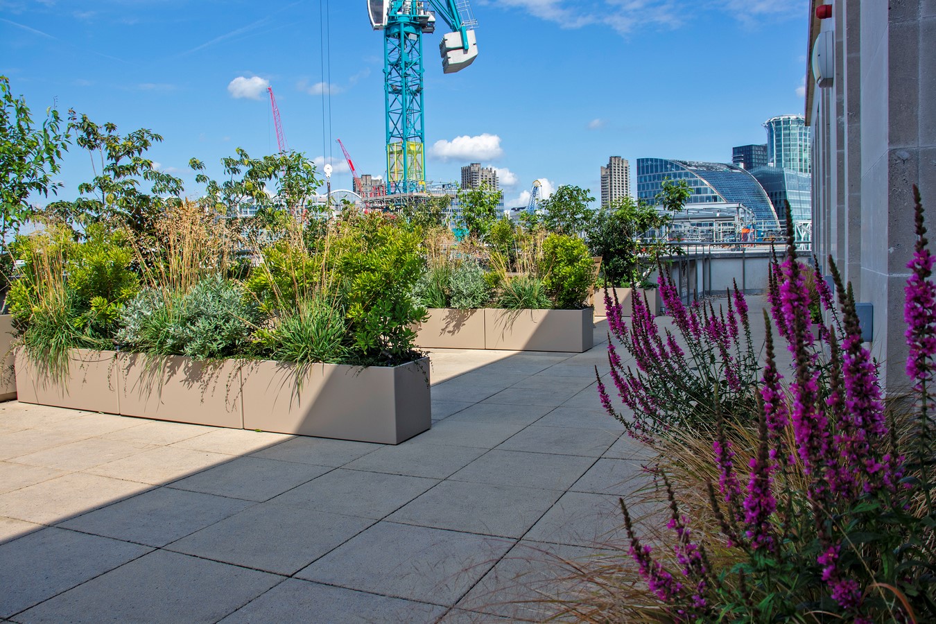 Bank Roof Garden Urban Biodiversity in the City by Mylandscapes LTD-Sheet6