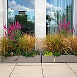 Bank Roof Garden Urban Biodiversity in the City by Mylandscapes LTD-Sheet7