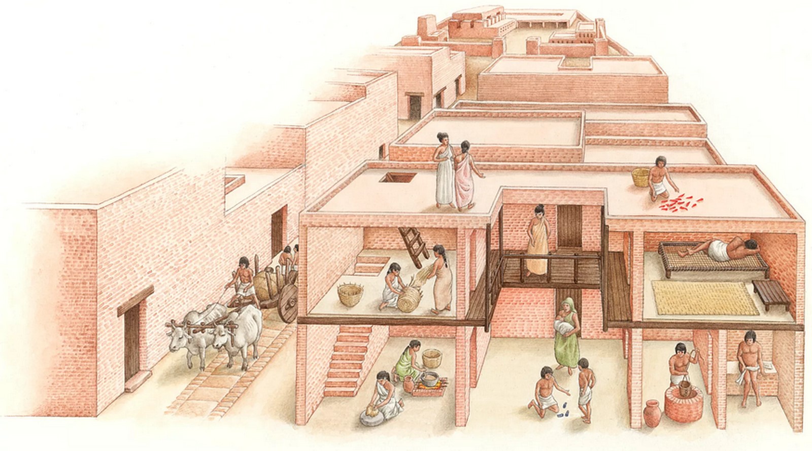 From Nomads to Megacities-Sheet3