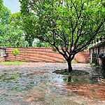 Aligarh Muslim University, Aligarh-Sheet12