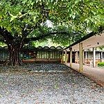 Aligarh Muslim University, Aligarh-Sheet9