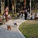 Pet-Friendly Public Spaces A Pet Owner's Dream for Urban Life-Sheet2