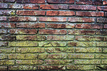 Essential Homeowner Strategies for Keeping Mold and Mildew at Bay