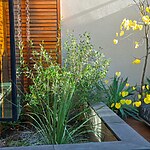 Clapham Courtyard by Mylandscapes LTD-Sheet7