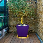Wapping Roof Garden by Mylandscapes LTD-Sheet4